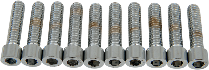 DRAG SPECIALTIES Bolts - Socket-Head - Smooth - 1/4-20 x 1" MPB181S