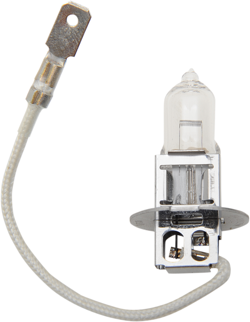 DRAG SPECIALTIES Halogen Bulb - H3 - 35 W H3-PK22S-35