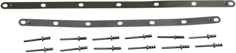 LEOVINCE Strap and Rivet Kit - Factory R 088421022R