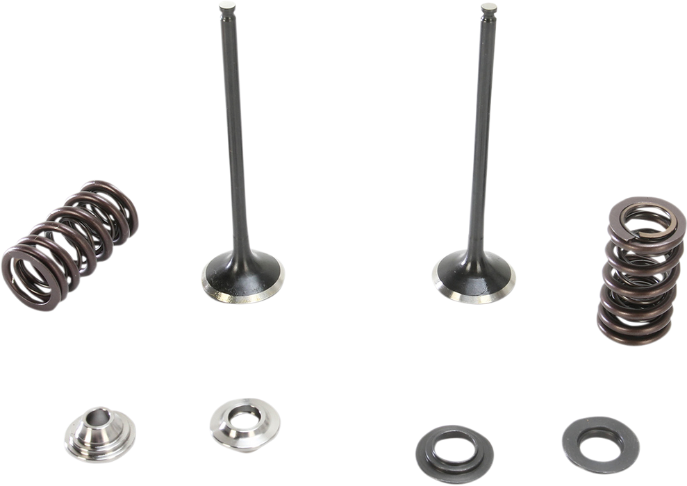 MOOSE RACING Valve and Spring Kit M96-96490