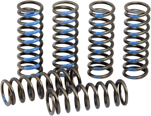 PRO CIRCUIT Clutch Springs CSY19250-CS
