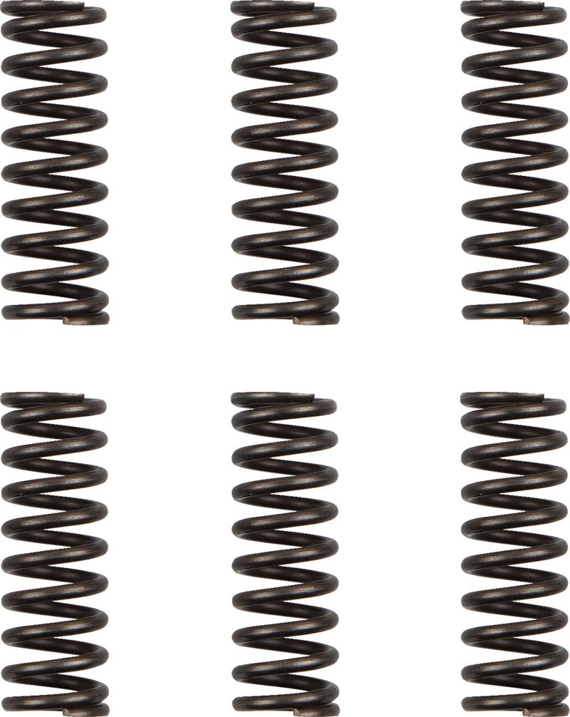 MOOSE RACING Clutch Springs HDS-156-6