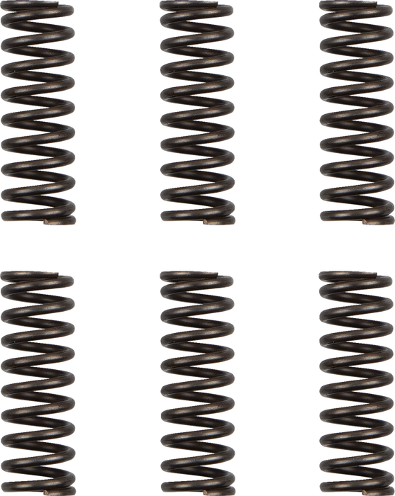 MOOSE RACING Clutch Springs HDS-156-6