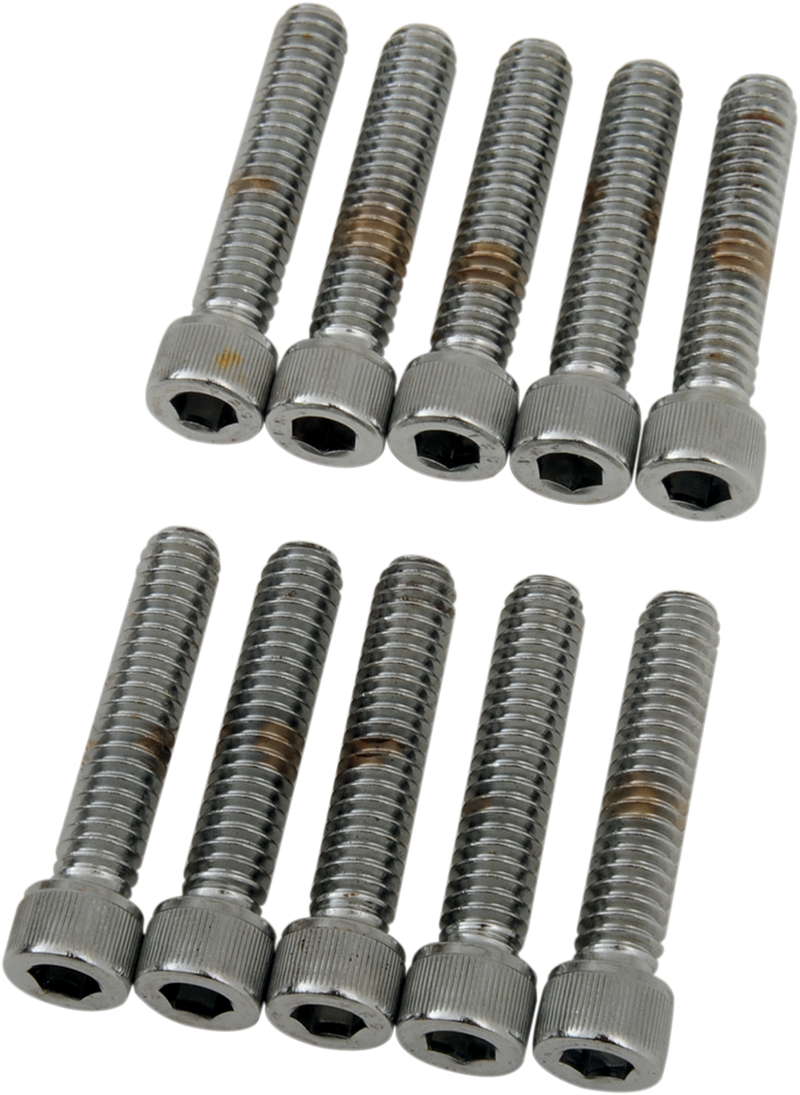 DRAG SPECIALTIES Bolts - Socket-Head - Knurled - 1/4-20 x 1-1/4" MPB182