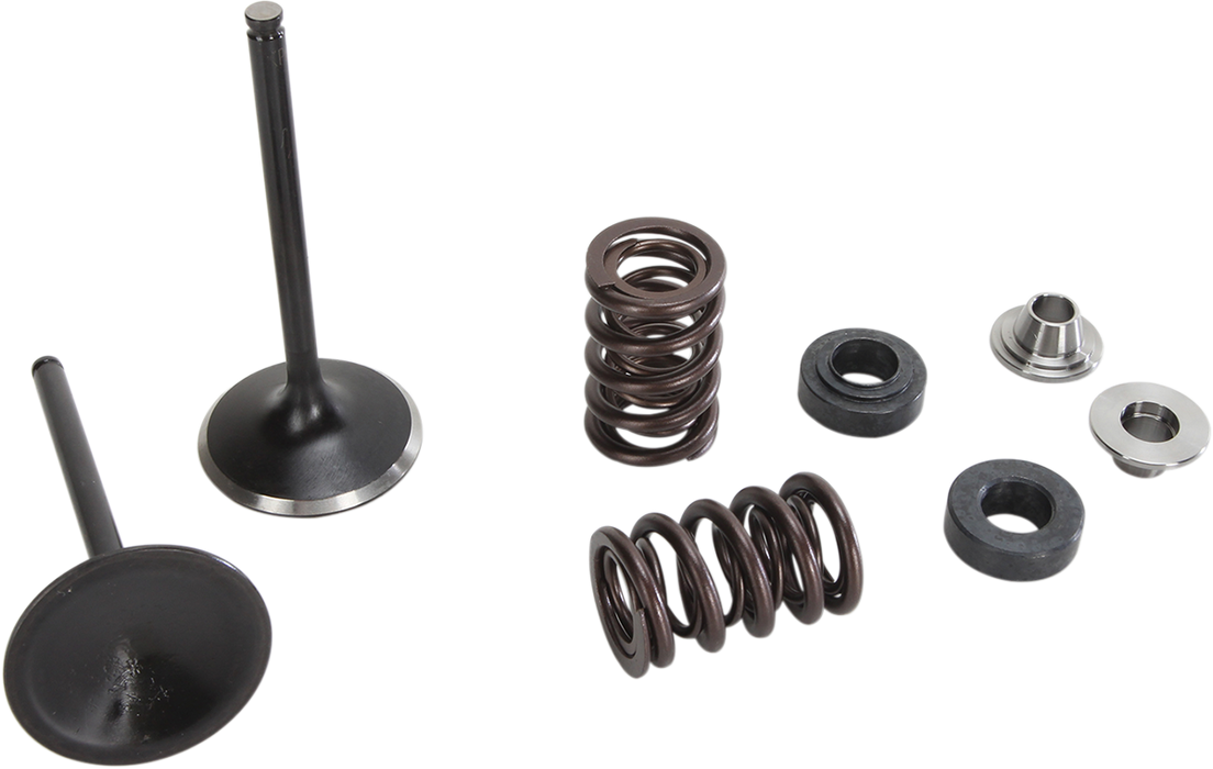 MOOSE RACING Valve and Spring Kit M80-81110