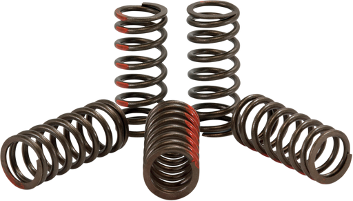 PRO CIRCUIT Clutch Springs CST09250