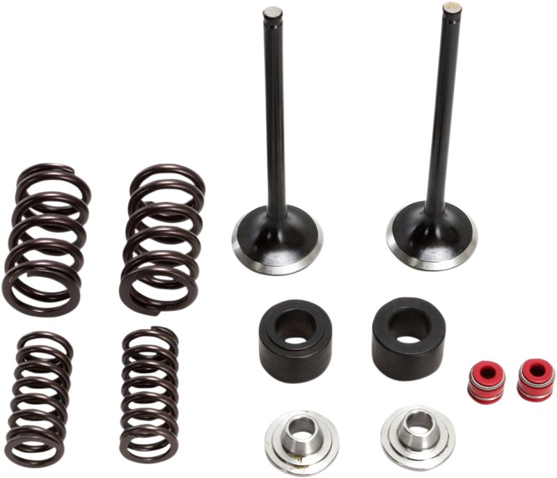 MOOSE RACING Valve and Spring Kit M30-32450
