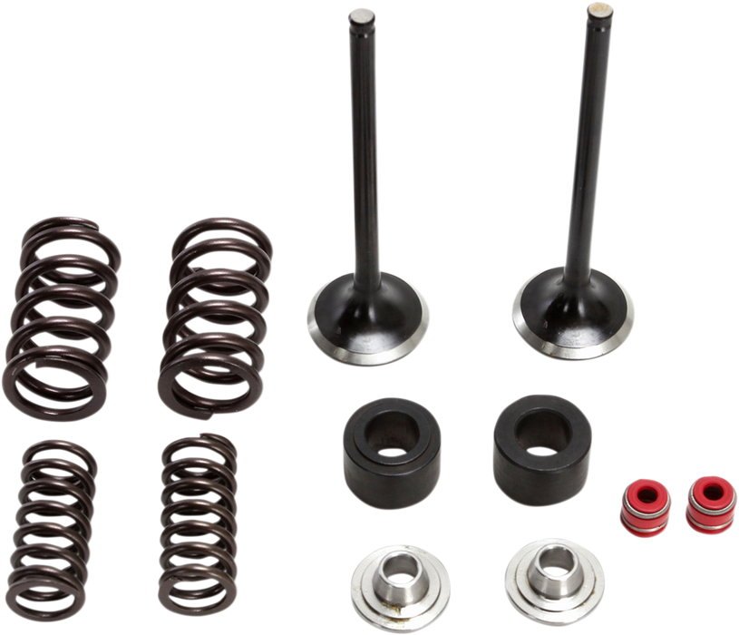 MOOSE RACING Valve and Spring Kit M30-32450