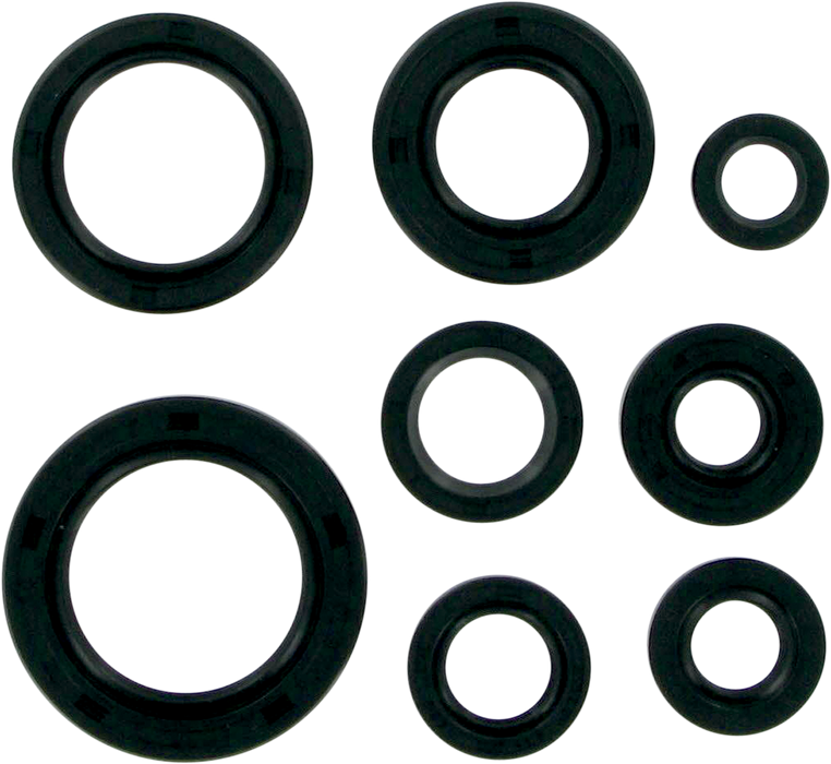 MOOSE RACING Motor Seals 822106MSE