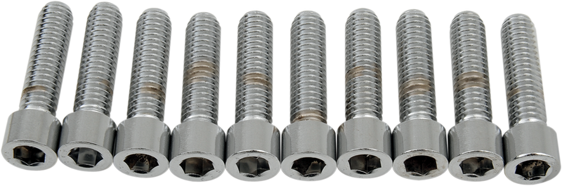 DRAG SPECIALTIES Bolts - Socket-Head - Smooth - 5/16-18 x 1-1/4" MPB218S