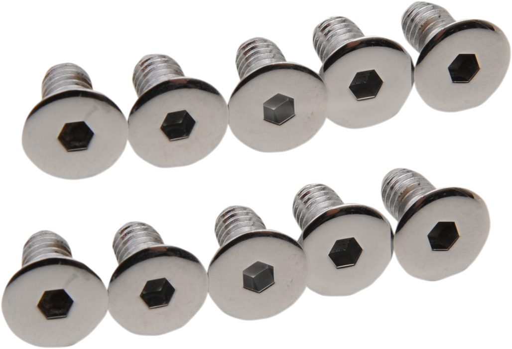 DRAG SPECIALTIES Derby/Inspection Cover Screws MK157