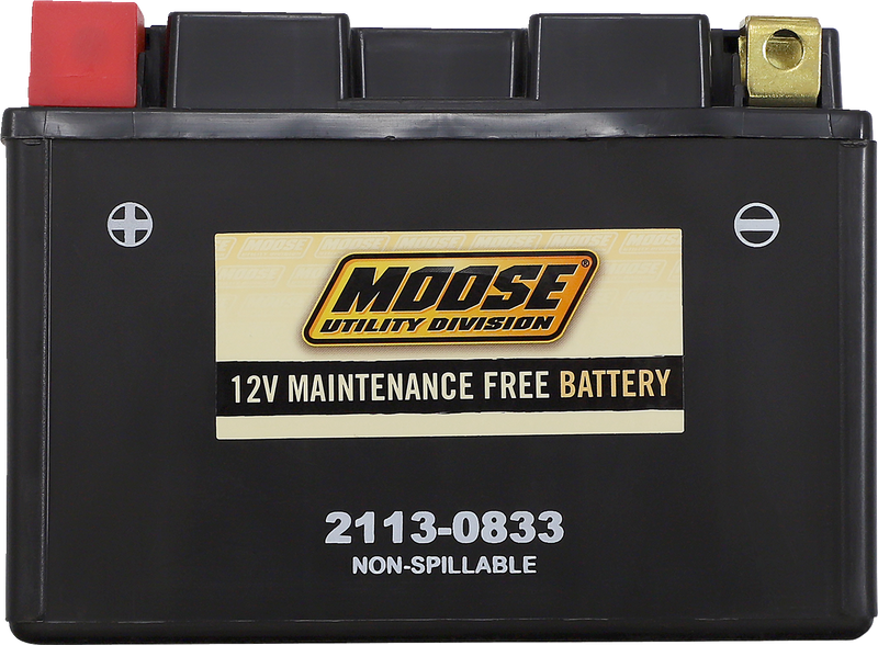 MOOSE UTILITY AGM Battery - CTZ14S CTZ14S