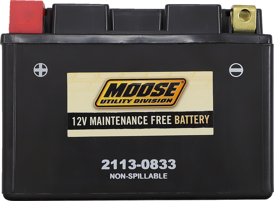 MOOSE UTILITY AGM Battery - CTZ14S CTZ14S