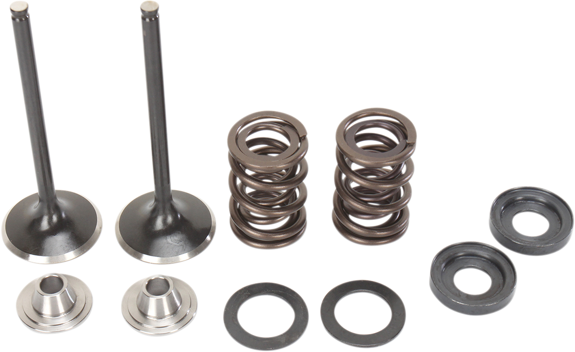 MOOSE RACING Valve and Spring Kit M96-96360