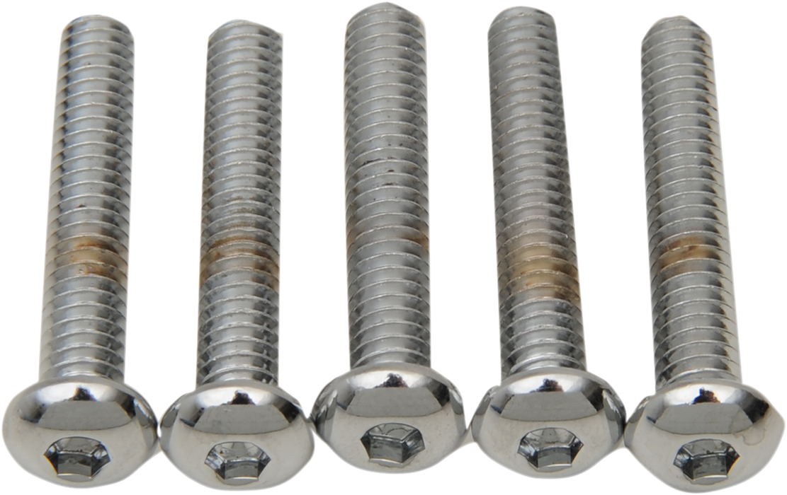 DRAG SPECIALTIES Bolts - Button-Head - 1/4"-20 x 1-1/4" MPB821