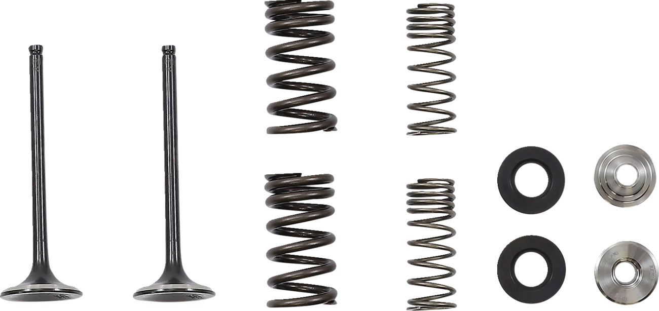 MOOSE RACING Exhaust Valve M30-34010