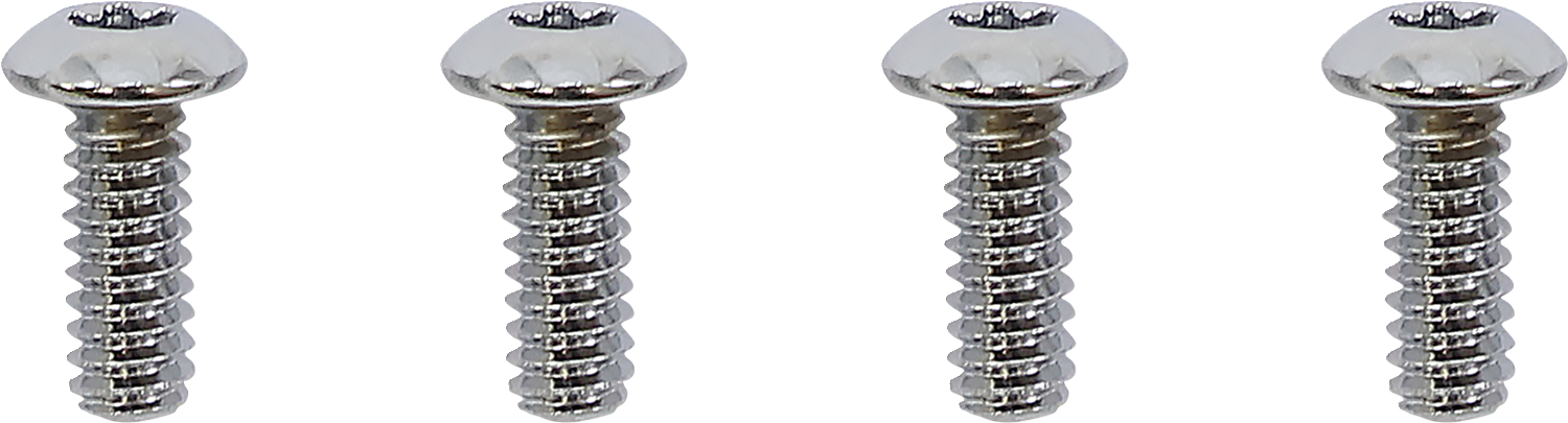 DRAG SPECIALTIES Switch Housing Screws - Chrome MPBDR18