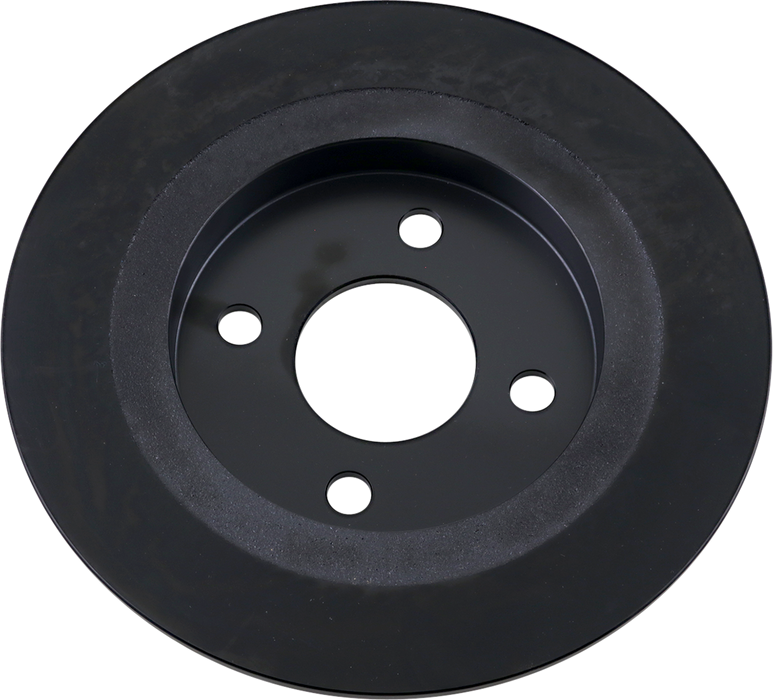 DRAG SPECIALTIES Rear Brake Rotor - Trike B06-0197