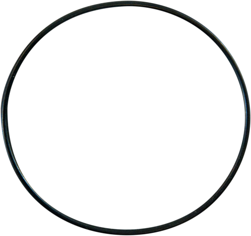 PRO CIRCUIT Replacement O-Ring PC4008-0401